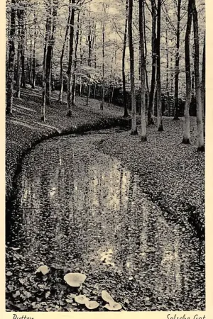 Putten Solsche Gat Veluwe HC15977 Najlepsza cena