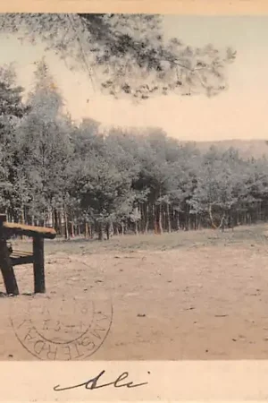 Tylko dziś Rozendaal (GD) Barnier-berg 1916 Velp HC15107