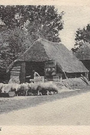 Wysoka jakość Nunspeet Op de Veluwe Schaapskooi 1943 HC14987