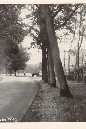 Ekspresowa dostawa Beekbergen Loenensche Weg Apeldoorn HC14577