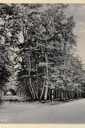 Apeldoorn Amersfoortscheweg 1939 HC15519 Oryginalny