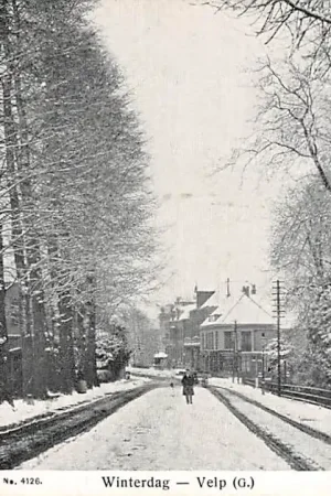 Velp Winterdag HC13899 Oferta limitowana