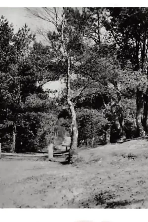 Ekspresowa dostawa Eerbeek Imbosch Brummen 1960 HC13297