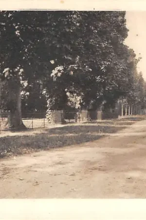 Hemmen Klein Hemmen 1919 Betuwe HC11602 Popularny