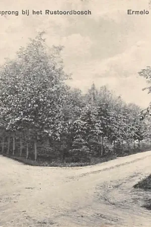 Szybka dostawa Ermelo Viersprong bij het Rustoordbosch Veluwe HC12599
