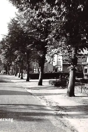 Wolfheze Wolfhezerweg HC9992 Najlepsza cena