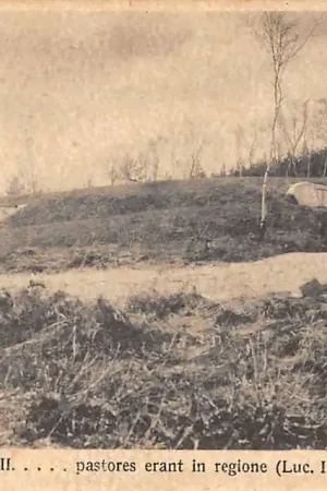 Tylko dziś Heilig Landstichting Bethlehem Geboortegrot Herderstypen Nijmegen HC9270