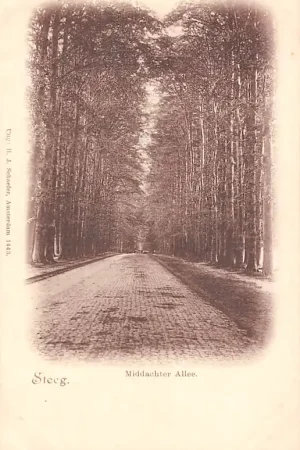 De Steeg Middachter Allee HC8689 Oryginalny