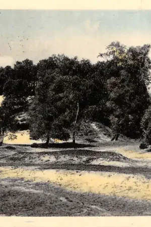 Ede Mossel Kruiponder 1964 Veluwe HC8681 Zamów teraz