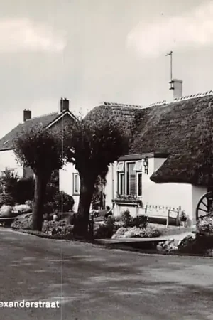 Gameren Pr. Willem Alexanderstraat HC9070 Tani