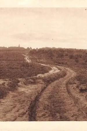 Veluwe Heideweg HC8394 Promocja