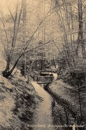 Wysoka jakość Oosterbeek bij Arnhem Boschgezicht Mariendaal 1907 HC8371