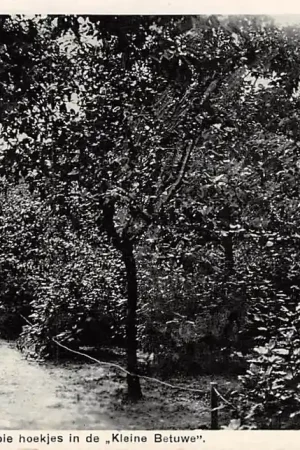 Promocja Haastrecht Een van de mooie hoekjes in speeltuin de Kleine Betuwe Vlist Krimpenerwaard HC8209