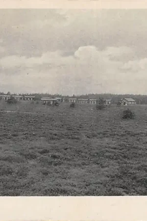 Tani Ermelo A.M.V.J. Kamp op den Paalberg HC7878