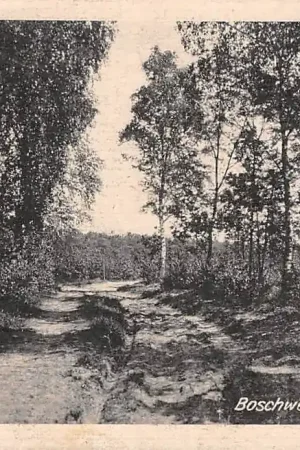 Oryginalny Bennekom Boschweg op Seltenkamp 1922 HC7295