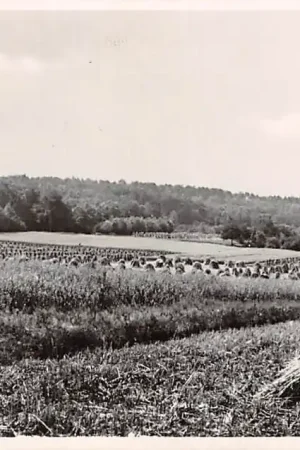 Oryginalny Lochem Bergglooiing 1951 HC6650