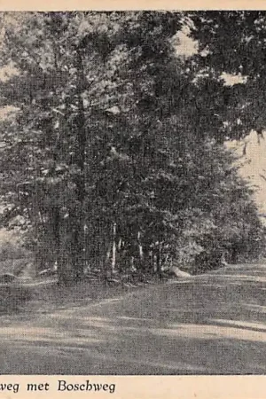 Putten Garderenscheweg met Boschweg HC5683 Tylko dziś