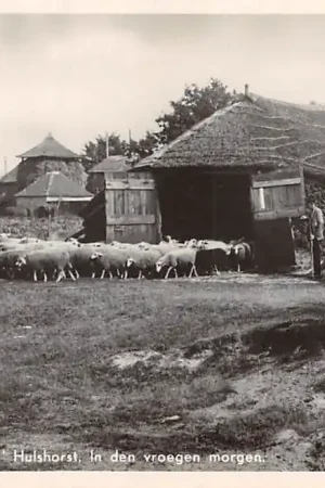 Premium Hulshorst Post Nunspeet Kamphuis De Dageraad in den vroege morgen Kudde schapen en herder bij de stal HC5882