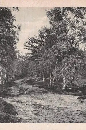 Bezpieczna płatność Velp - Beekhuizen Berkenlaantje 1920 HC5460