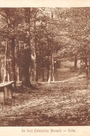 Premium Ede In het Edesche Bosch 1920 HC5088