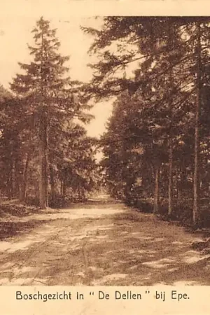Darmowa dostawa Epe Boschgezicht in De Dellen 1943 HC4662