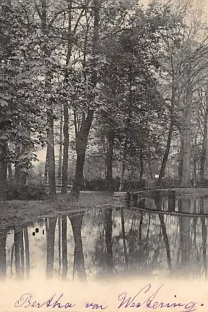 Darmowa dostawa Tiel Plantage 1903 HC3904