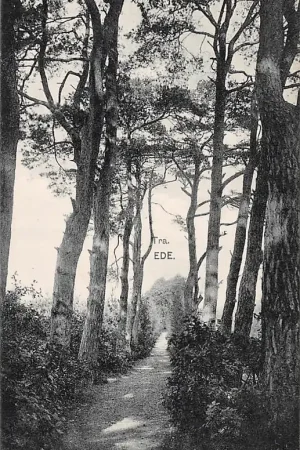 Ostatnia szansa Ede Tra Type Nauta HC3412