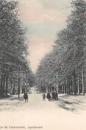 Apeldoorn Loolaan HC3301 Popularny