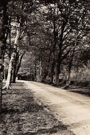 Bezpieczna płatność Epe Laan op Tongeren jaren 30 HC3208