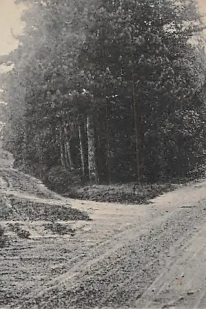Zamów teraz Putten Garderensche weg en Prins Hendrikweg HC2337