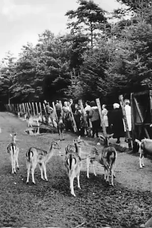 Epe Hertenkamp 1967 HC1827 Oryginalny