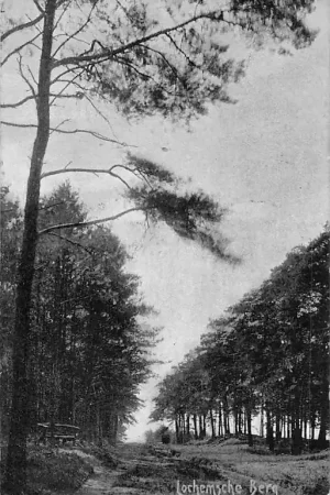 Lochem Lochemse Berg 1907 HC1337 Tani