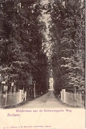 Arnhem Middenlaan aan de Schiewingse Weg HC947 Najlepsza cena