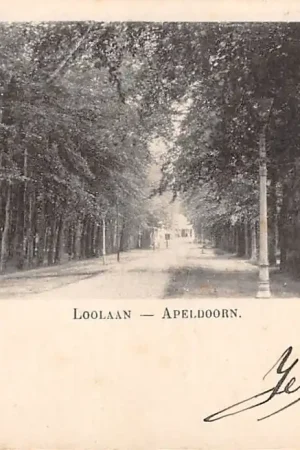 Rabat Apeldoorn Loolaan 1900 HC483