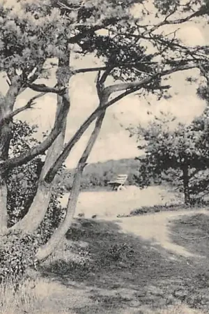 Harendermolen Harenermolen Gezicht in Appelbergen 1929 Gimmen Groningen HC48572 Wysoka jakość