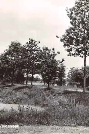 Zevenhuizen (GR) Veldstreek HC48205 Najlepsza cena