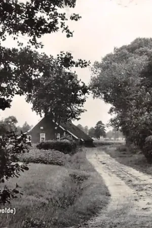 Vlagtwedde Oud Westerwolde 1960 HC48013 Darmowa dostawa