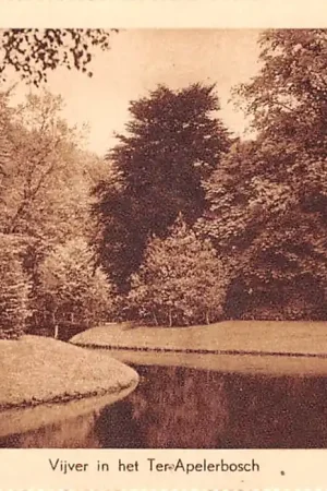 Ter Apel Vijver in het Ter Apelerbosch met houten bruggetje HC44575 Premium