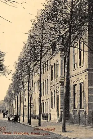 Ostatnia szansa Groningen Zuidersingel Tulp HC33759