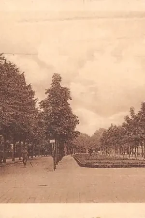 Autentyczny Groningen Heeresingel 1922 HC39549