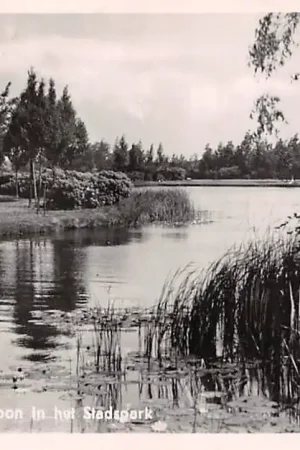 Groningen Natuurschoon in het Stadspark 1955 HC32675 Autentyczny