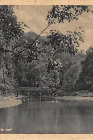 Wysoka jakość Groningen Vijver Sterrebosch HC24168