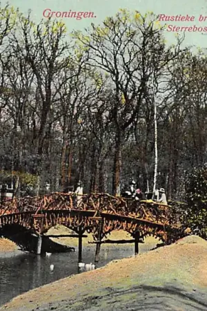 Zamów teraz Groningen Sterrebosch Rustieke brug 1914 HC23935
