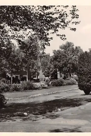 Veendam A.E. Kade 1953 HC26006 Zamów teraz