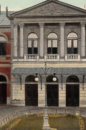 Ekspresowa dostawa Groningen Harmonie Tulp HC23903