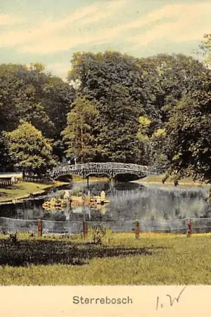 Tani Groningen Sterrebosch HC14788