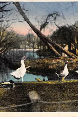 Groningen Noorderplantsoen HC13499 Premium