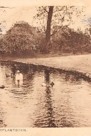 Groningen Noorderplantsoen 1929 HC13497 Oryginalny