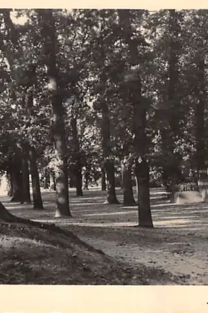 Ostatnia szansa Groningen Sterrebosch Muziekkoepel HC12948
