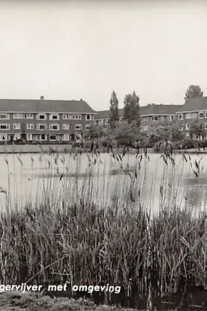 Autentyczny Groningen Hamburgervijver met omgeving HC12934